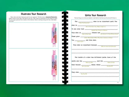 Botany Workbook for Homeschoolers - Grades 5–12 - Creative, Credit-Worthy Plant Science - Homeschool Middle School - Neurodivergent Friendly