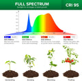 Grow Lights for Indoor Plants Full Spectrum, 36W Grow Light Bulb (400 Watt Equivalent) with Optical Lens for High PPFD, PPF 65.6 umol/s LED Energy Saving Plant Light Bulb for Seeding and Growing