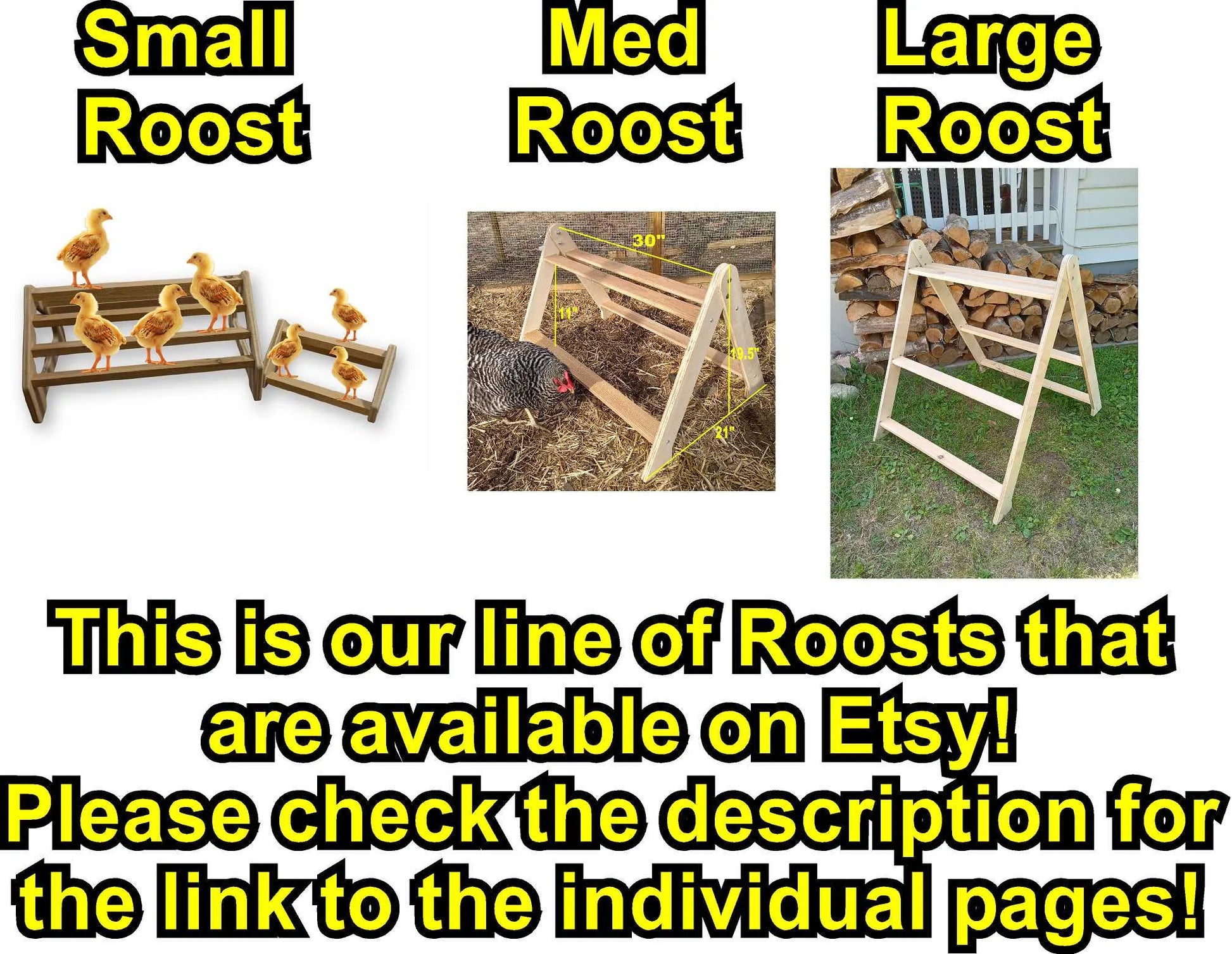 Chicken Roost, Medium size