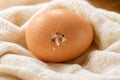 Brown chicken egg cracking open as a chick begins to hatch