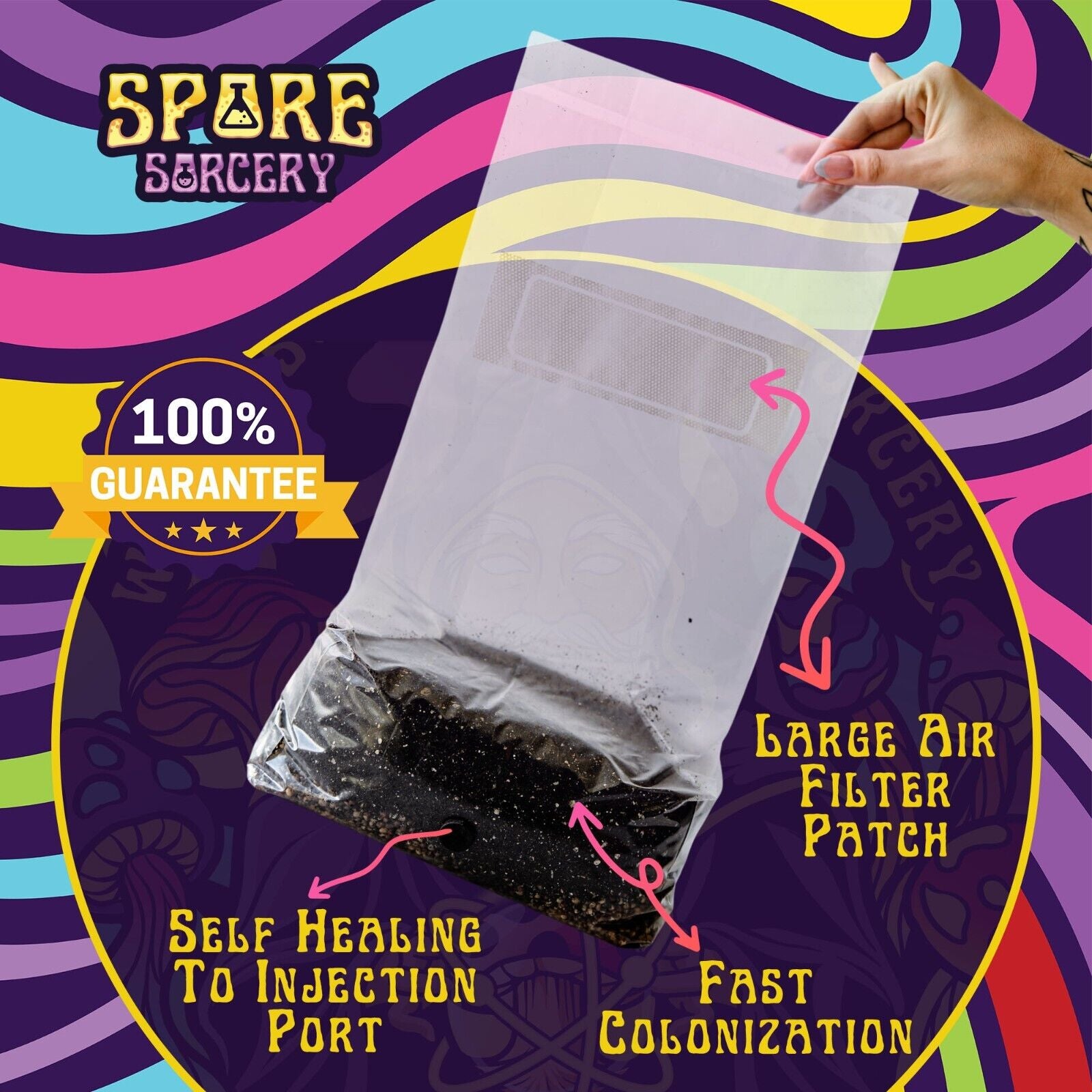 6lbs All-in-One Mushroom Grow Kit in a Bag | HUGE FLUSHES | Easy to Use
