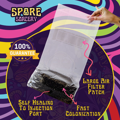 6lbs All-in-One Mushroom Grow Kit in a Bag | HUGE FLUSHES | Easy to Use