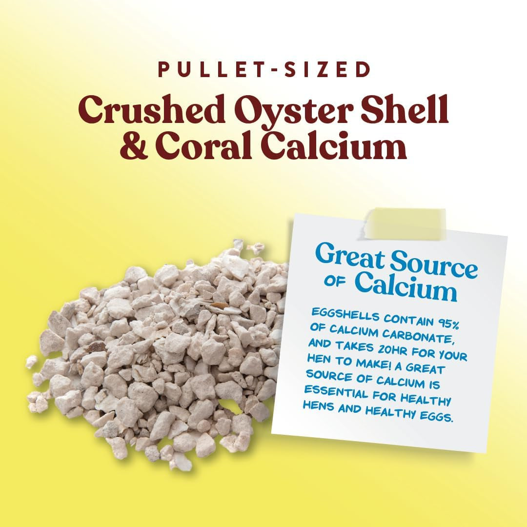Crushed Oyster Shell for Chickens – Calcium Supplement for Laying Hens to Support Strong Eggshells – Natural Poultry Mineral Feed for Backyard Chickens – 5 lb Bag