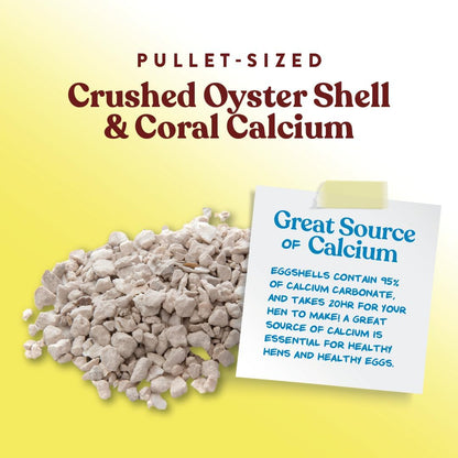 Crushed Oyster Shell for Chickens – Calcium Supplement for Laying Hens to Support Strong Eggshells – Natural Poultry Mineral Feed for Backyard Chickens – 5 lb Bag