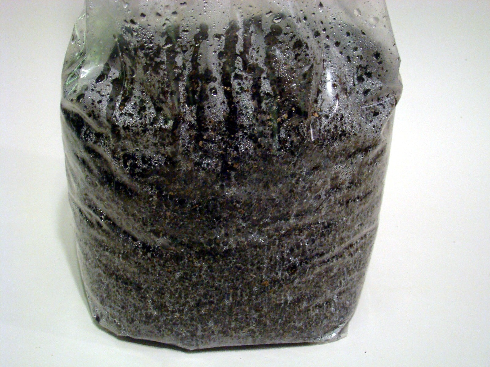 16 LBS Bulk Substrate Mushroom Grow Bag - Dung Lovers - Pasteurized