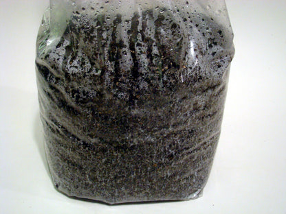 16 LBS Bulk Substrate Mushroom Grow Bag - Dung Lovers - Pasteurized