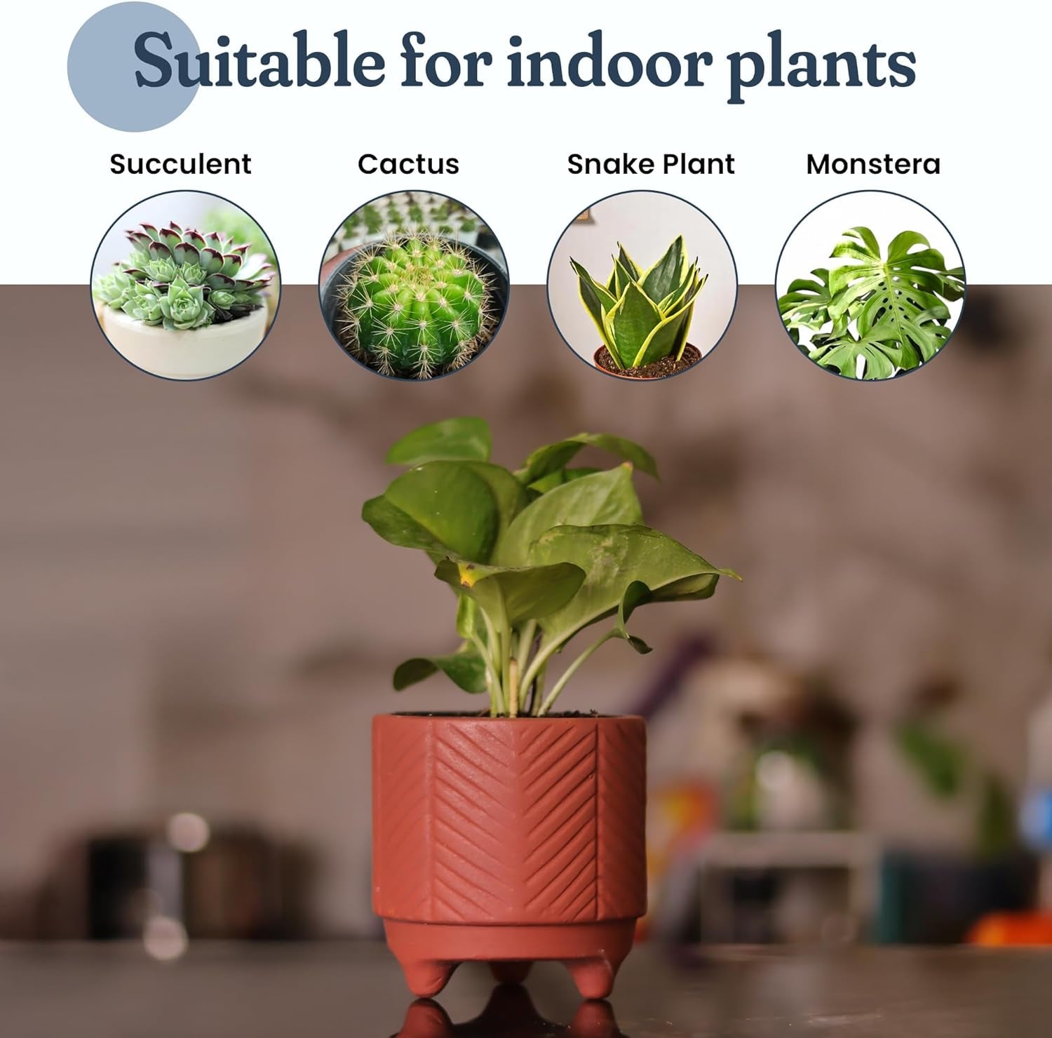 FINE Living 4 Inch Terracotta Pot with Chevron Pattern, Boho Ceramic Planter Clay Pots for Indoor Plants, Succulent Planter with Drainage Hole and Mesh Net, Garden & Home Decor