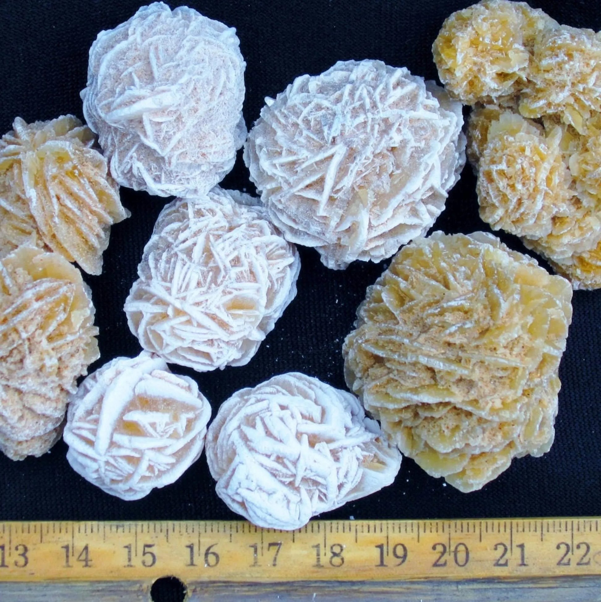 Bulk DESERT ROSES * Natural Selenite Gypsum Crystal Mineral Stones * Choice of 1/2 or 1" Sizes * Mexico
