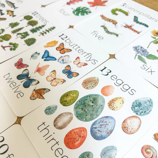 Nature Number Cards 1-20 Classroom Math Counting Cards Nursery Wall Art Montessori Pre K Homeschool Activities Classroom Nature Aesthetic