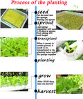 Hydroponic Grow Kit 36 Sites 4 Pipes 1 Layer Garden Plant Vegetable Tool New