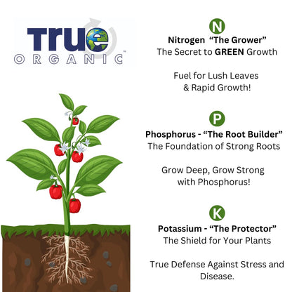 Worm Castings – Natural Fertilizer for Enhanced Soil Health, Root Growth, and Bountiful Yields