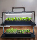 LED Grow Light Plant Stand with two Shelves & Two 10 W Full-Spectrum Light Bars for Seed Starting