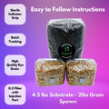 Mushroom Growing Kit - Rye Grain Spawn Bags Substrate + Monotub Grow Like Magic