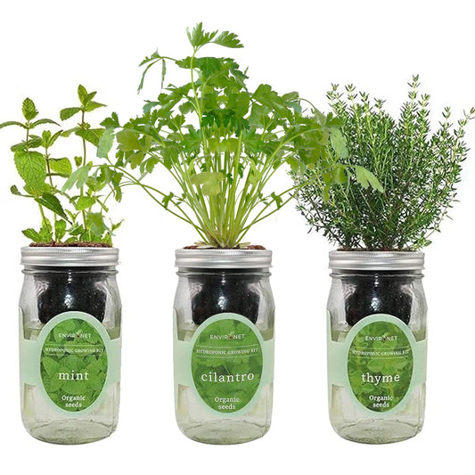 Herb Garden Trio - Mason Jar Hydroponic Kit Set with Organic Seeds, Gardening Gift