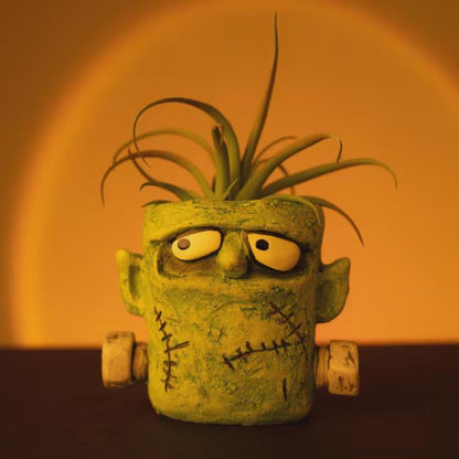 Frankie Monster Blobhouse Planter – Limited Edition Halloween Decor | Whimsical Succulent & Air Plant Pot | RPlantAsian