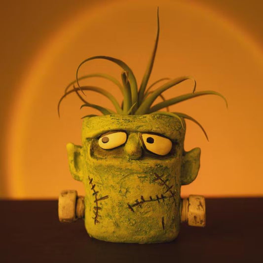 Frankie Monster Blobhouse Planter – Limited Edition Halloween Decor | Whimsical Succulent & Air Plant Pot | RPlantAsian