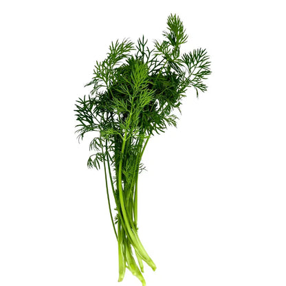 Herb Bundle: Ready-to-plant seedlings, Starts, Plugs, Garden ready, Live plants, Transplants, Pre-sprouted, For soil & hydroponic gardens