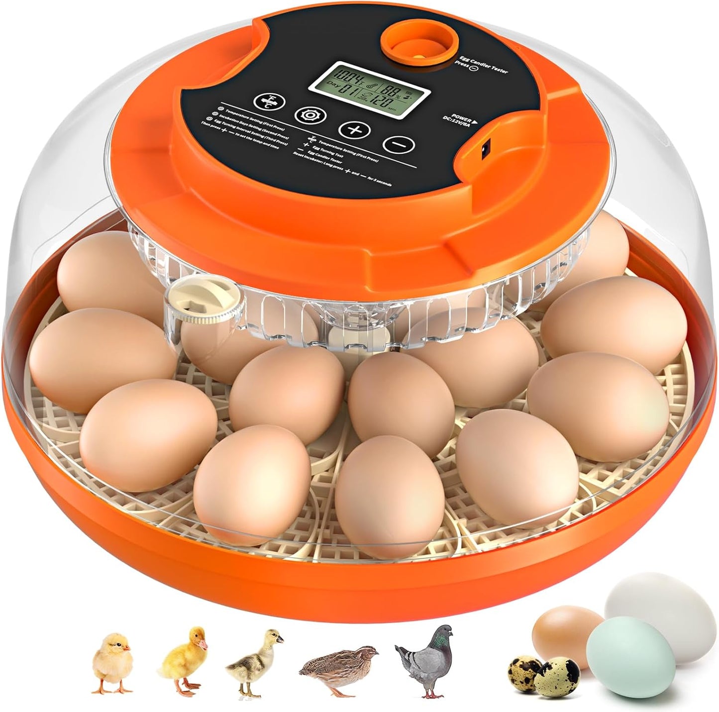 18 Egg Incubator with Automatic Egg Turning and Humidity Control, Incubators for Hatching Eggs, Chicken, Ducks, Goose, Pigeon, Quail, Parrot Incubator for Farm, Lab, Science Classroom, Home (Orange)
