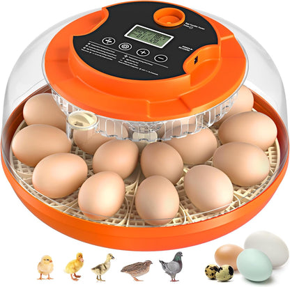 18 Egg Incubator with Automatic Egg Turning and Humidity Control, Incubators for Hatching Eggs, Chicken, Ducks, Goose, Pigeon, Quail, Parrot Incubator for Farm, Lab, Science Classroom, Home (Orange)