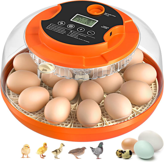 18 Egg Incubator with Automatic Egg Turning and Humidity Control, Incubators for Hatching Eggs, Chicken, Ducks, Goose, Pigeon, Quail, Parrot Incubator for Farm, Lab, Science Classroom, Home (Orange)