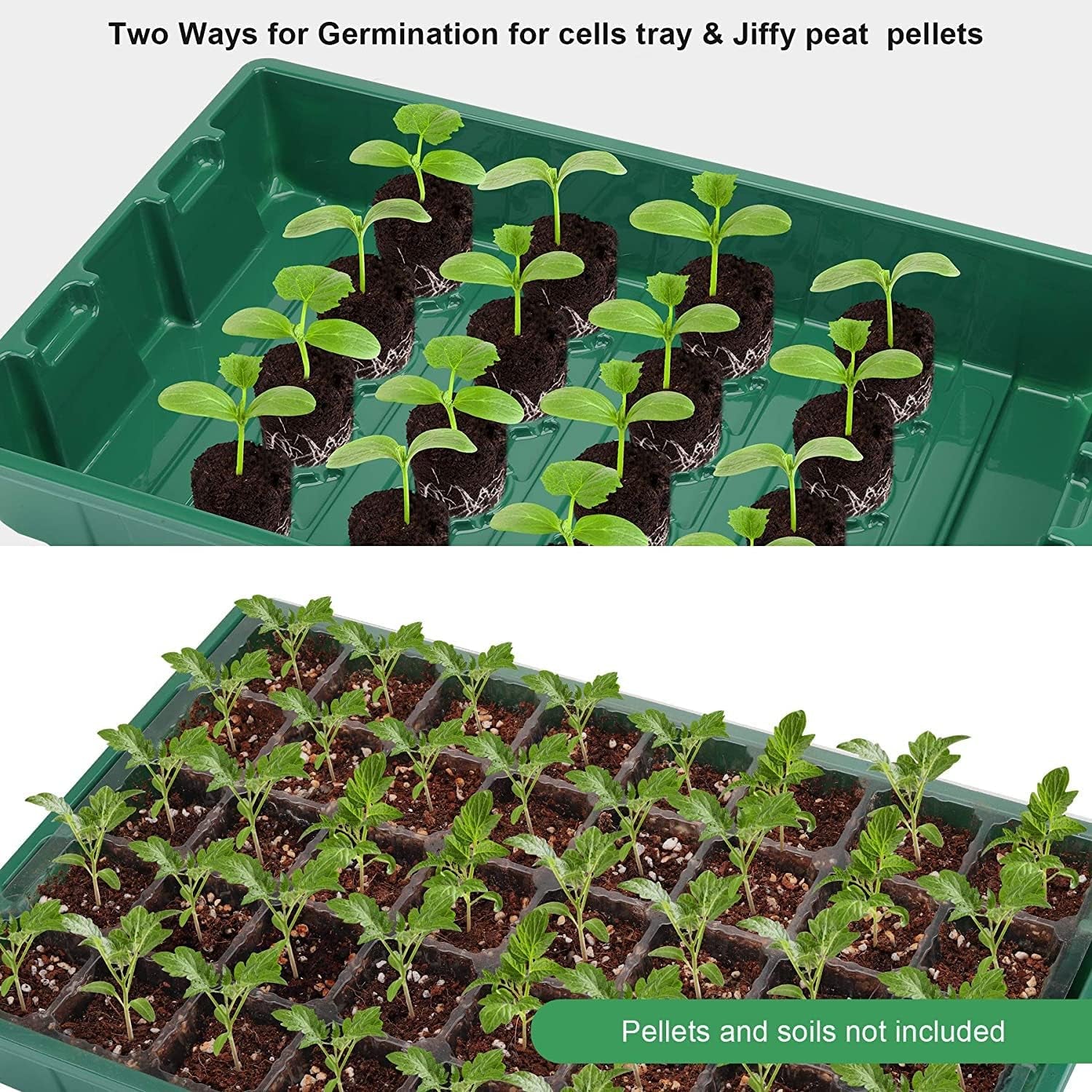 Seedling Trays Seed Starter Tray, 5-Pack Mini Propagator Plant Greenhouse Grow Kit with Humidity Vented Domes and Base for Seeds' Starting (40 Cells Per Tray, Total 200 Cells), Green