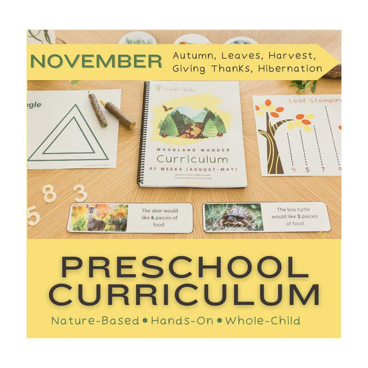 November Preschool Curriculum for Homeschoolers: Secular, Whole-child focus, Hands-on