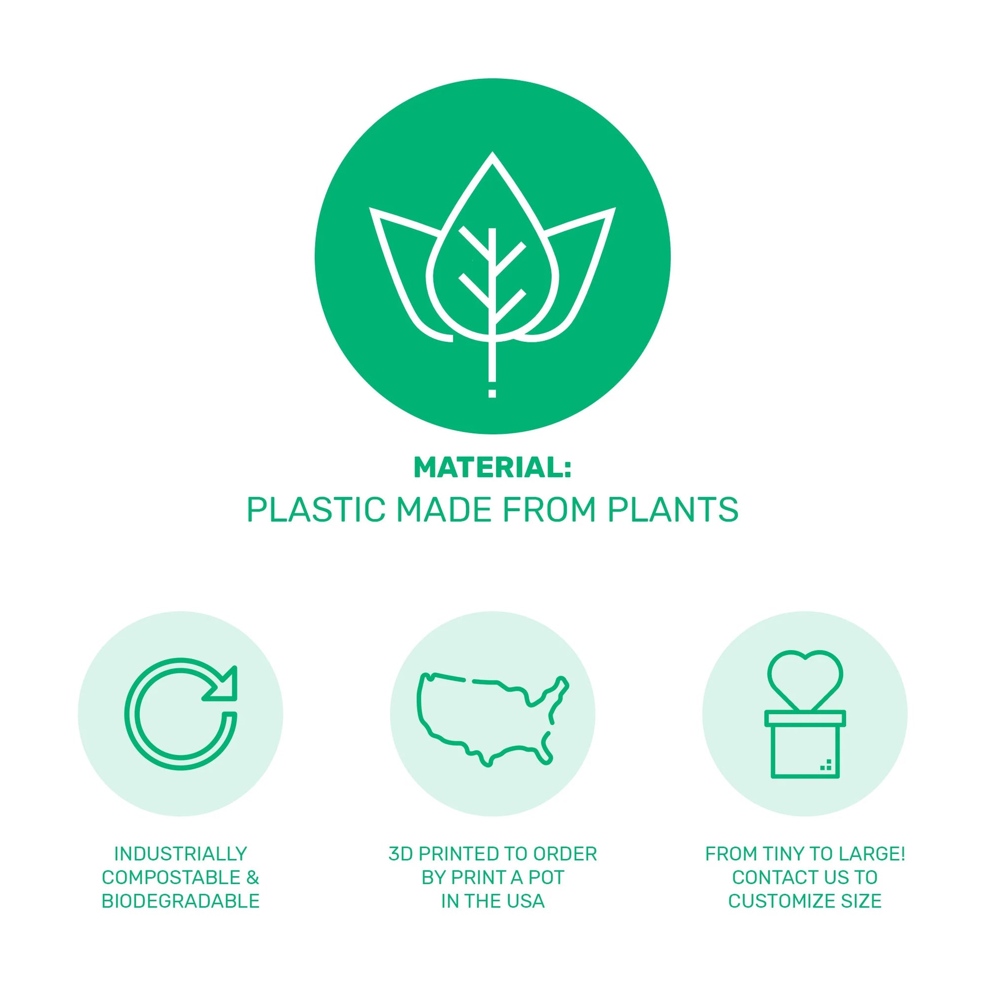 Haworthia Succulent Pumpkin Thanksgiving Hostess Gift Box, Fall Succulent Gift Box, Thanksgiving Giftbox for Plant Lover