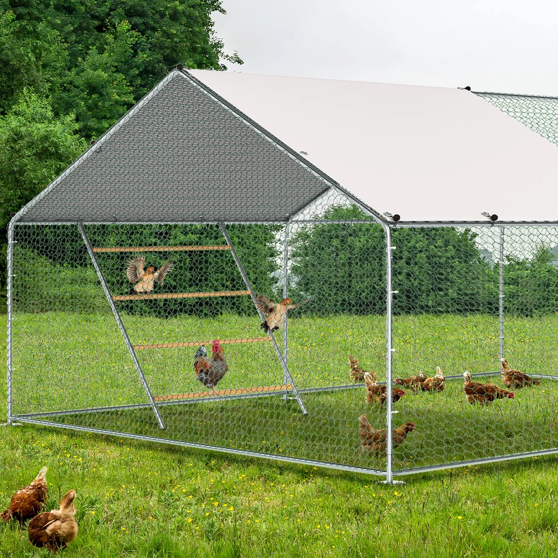 Chicken Perch Chicken Roost Chicken Wooden Stand Trainning Perch Rooting Bar Chicken Swing for Hens Chicken Toys for Chicken Coop Accessories
