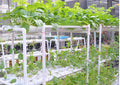 Hydroponic Grow Kit 36 Sites 4 Pipes 1 Layer Garden Plant Vegetable Tool New