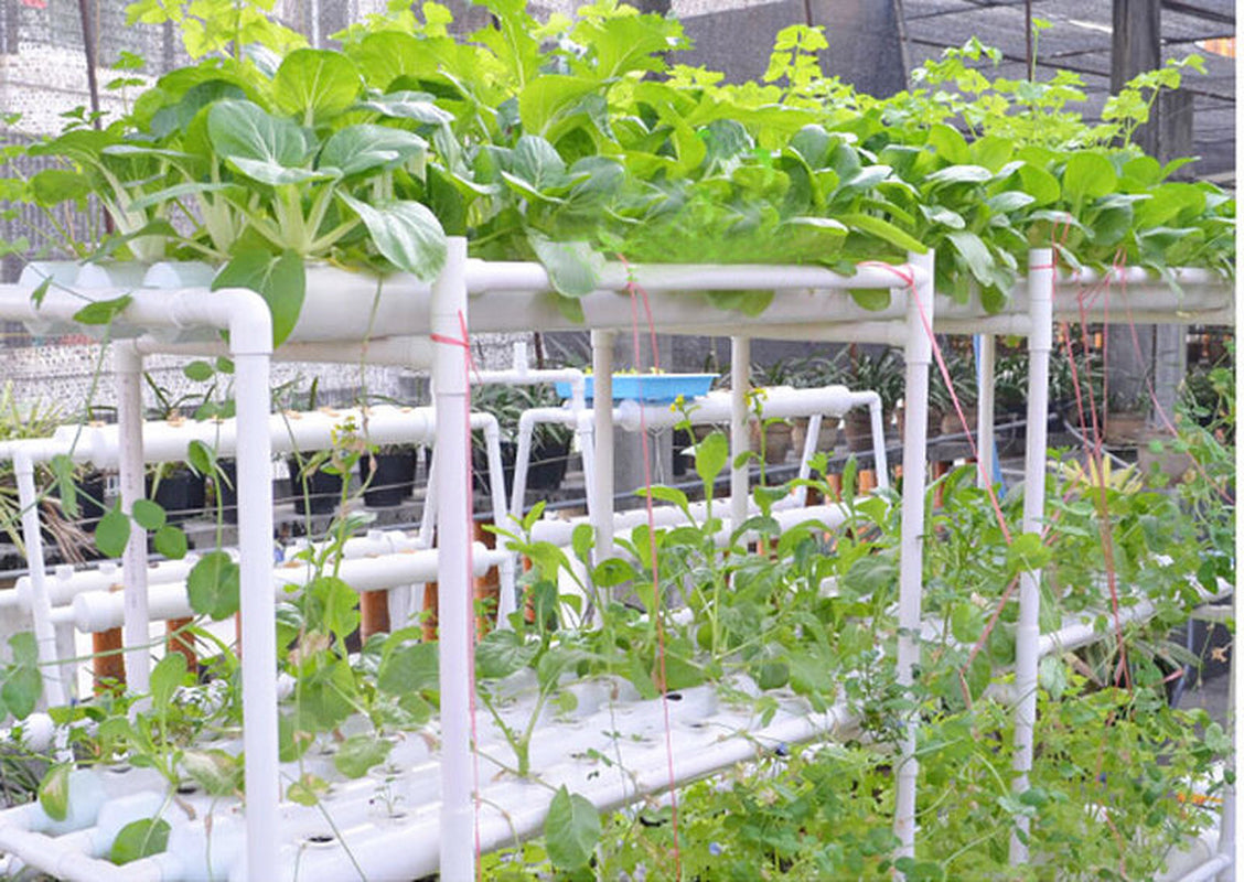 Hydroponic Grow Kit 36 Sites 4 Pipes 1 Layer Garden Plant Vegetable Tool New