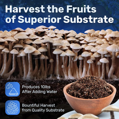 Dry Mushroom Substrate Mix | Produces 10 Pounds of Pasteurized Bulk Substrate | CVG Blend (Coco Coir, Vermiculite, Gypsum)