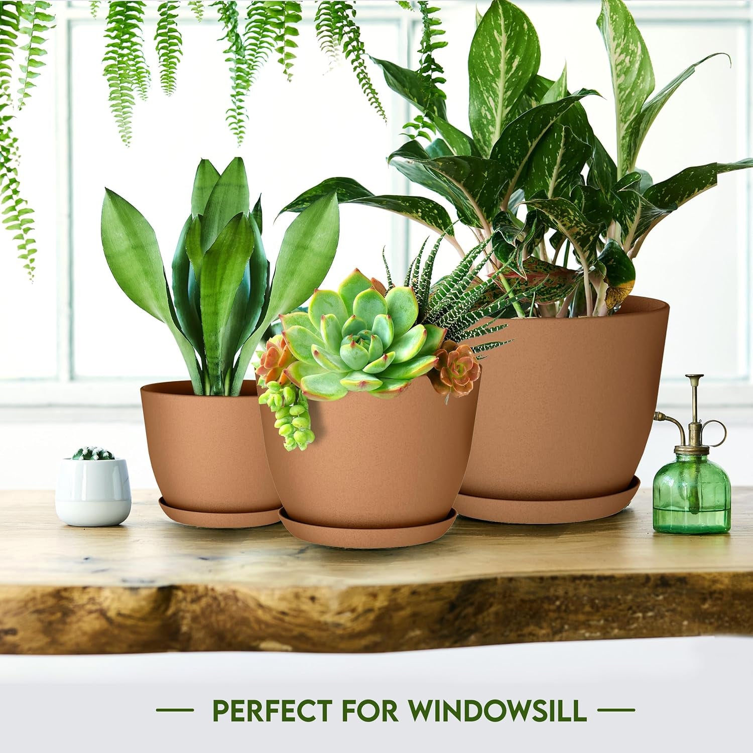 - Plastic Terracotta Pots with Drainage - 7/6.6/6/5.3/4.8 Inches Flower Pots for Indoor Planter - Pack of 5 Plastic Planters, Cactus, Succulents Pot