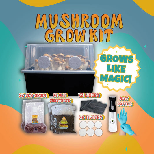 Beginner's Mushroom Grow Kit | Microppose Monotub Easy Cultivation | Magic Mono-tub Tek  DIY Growers | Everything You Need To Grow Mushrooms