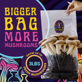 6lbs All-in-One Mushroom Grow Kit in a Bag | HUGE FLUSHES | Easy to Use