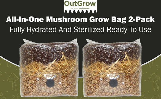 All in One Mushroom Grow Bag 2-Pack) | For Dung Loving Mushrooms | Ready To Use