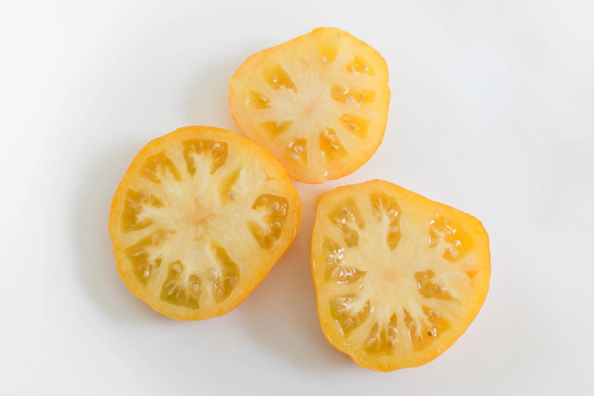 Certified Organic Tomato Seeds Collection (10-Pack) – 100% Non GMO, Open Pollinated Varieties – With Planting Guide