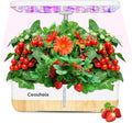 Hydroponics Growing System 12Pods, Indoor Herb Garden with LED Grow Light
