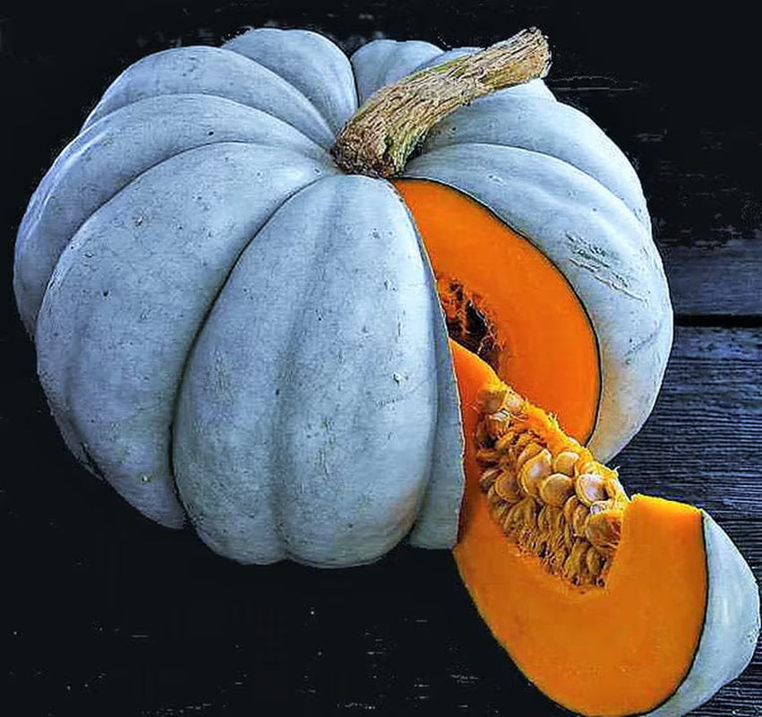 Jarrahdale, Pumpkin, Winter squash, Organic Heirloom Vegetable & Herb Seeds Non-GMO Rare Seed Varieties Bulk Pollinator-Friendly Garden Seed