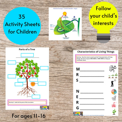 Kids Nature and Gardening Study Unit Plant Educational Worksheets With Parent Plans Children 1000 Hours Outdoor Soil And Growing Activities