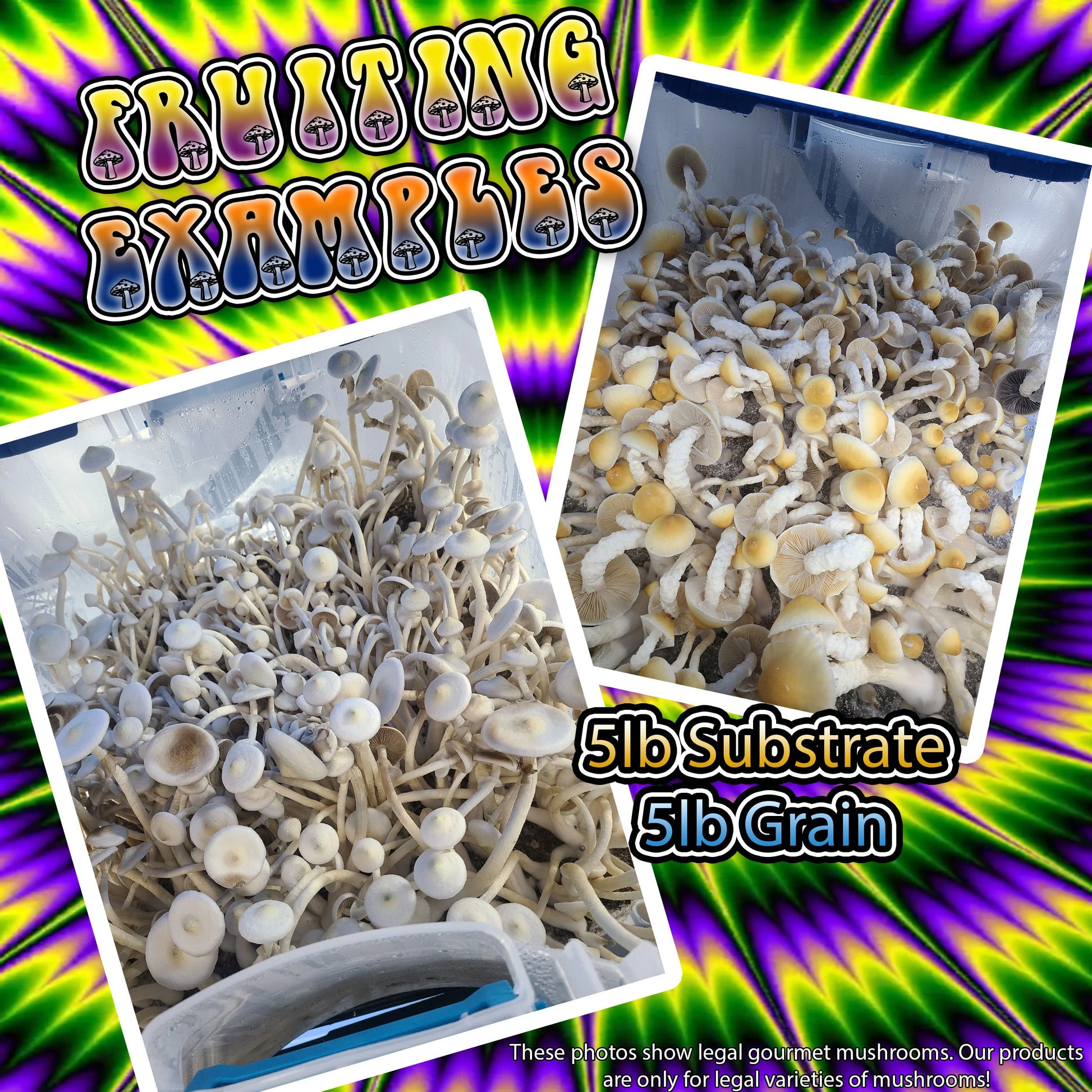 25lb Pack of 5lb Coco Coir+Vermiculite+Gypsum | Substrate Bags for Mushrooms