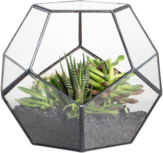 Small Open Terrarium Planter - 6.89" x 6.89" x 5.9" Pentagon Geometric Glass Container Pot for Succulents, Air Plants - Home Garden Tabletop Miniature Decor, Black (No Plants)