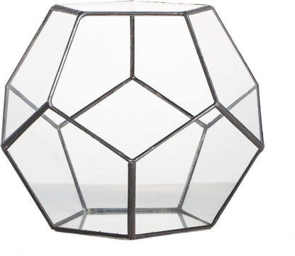 Small Open Terrarium Planter - 6.89" x 6.89" x 5.9" Pentagon Geometric Glass Container Pot for Succulents, Air Plants - Home Garden Tabletop Miniature Decor, Black (No Plants)