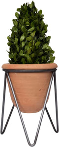 Terracotta Pot with Metal Stand