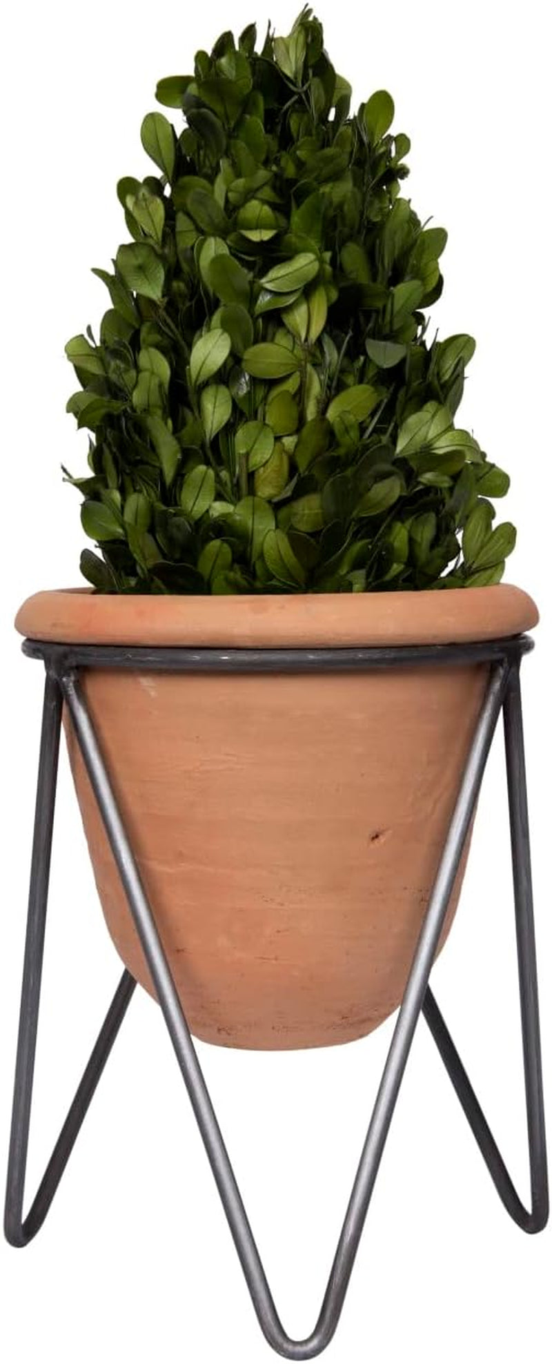 Terracotta Pot with Metal Stand