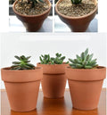 Clay Pot - 10 Pack Large Terra Cotta Plant Pot with Drainage Hole, Clay Planters Pot, Terracotta Pot for Indoor Outdoor Plant (5.5 inch)