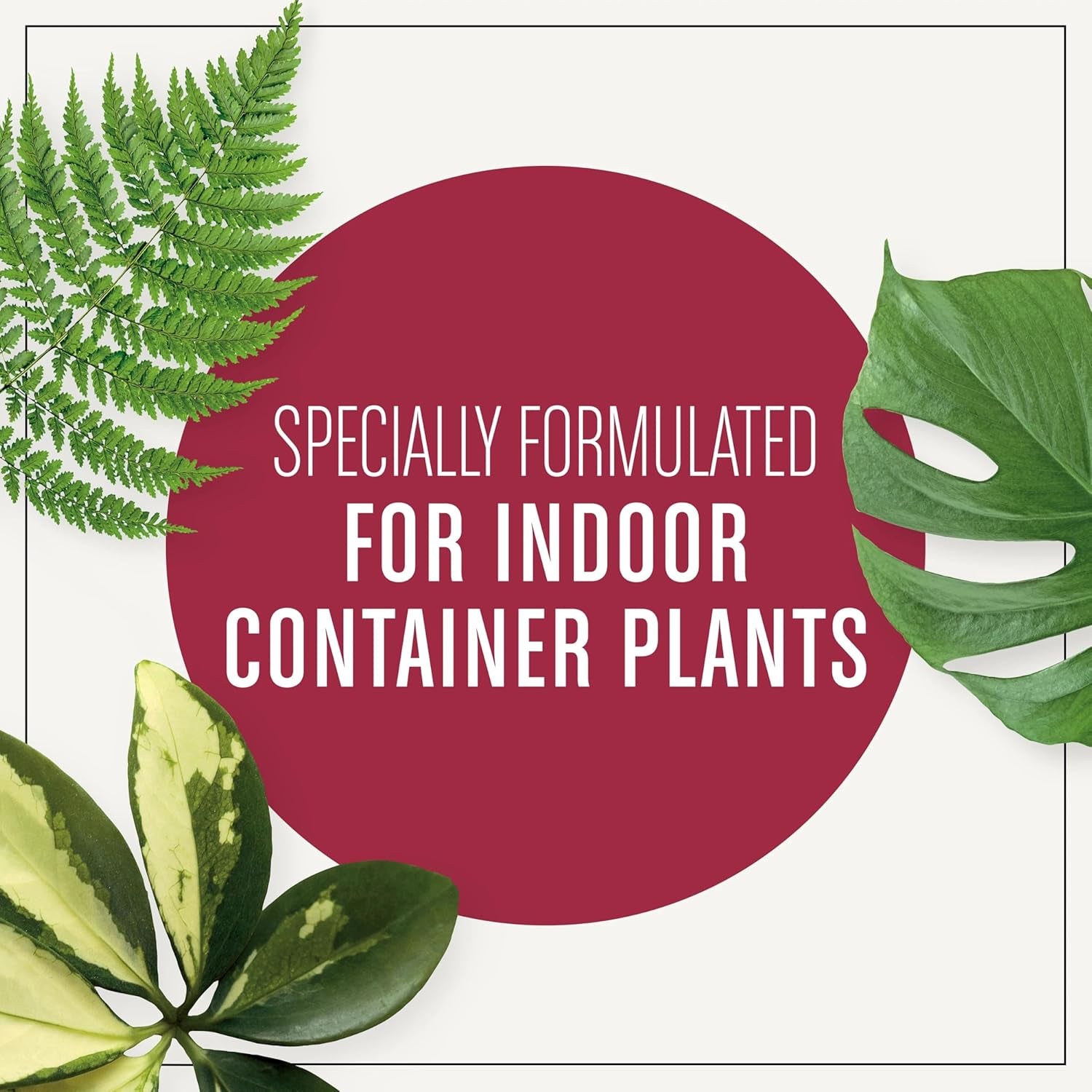 Houseplant Potting Mix: Fertilized, Perlite Soil for Indoor Gardening, Designed to Be Less Prone to Gnats, 4 qt.