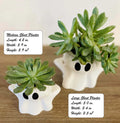 Spectral Serenity: 3D Printed Halloween Ghost Shaped Planter for Enchanting Succulents