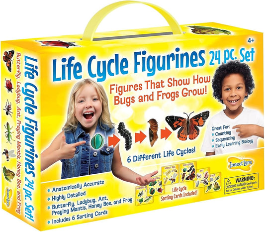 's Life Cycle Figurines 24 Pc Set | Butterfly, Ladybug, Frog, Honey Bee, Ant and Praying Mantis | 4 Stages Per Insect, 24 Figurines Total