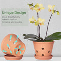 6 Inch Terracotta Orchid Pots with Holes, Saucers - 3 Pack Clay Orchid Planter Pots for Repotting, Small Terra Cotta Pot, Indoor & Outdoor, Promotes Air Circulation