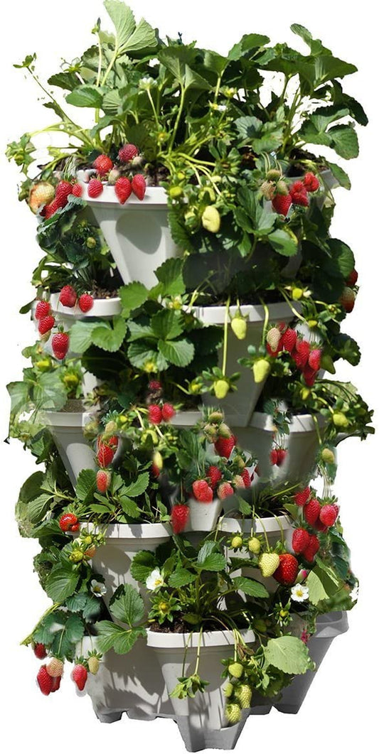 5 Tiered Vertical Gardening Planter, Indoor & Outdoor